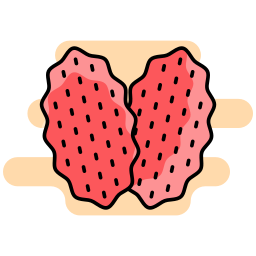 thymus Icône