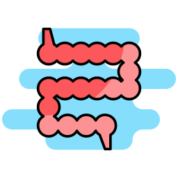 Small intestine icon