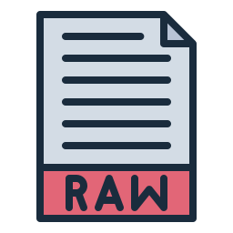 arquivo raw Ícone