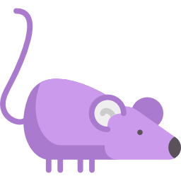 rat Icône