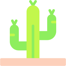 cactus icoon