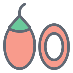tamarillo icon