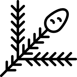 Branch icon