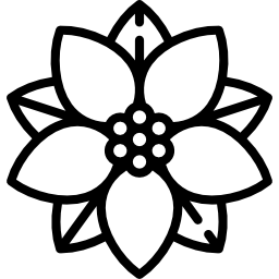 Пуансентия иконка