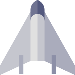 Flying wing icon