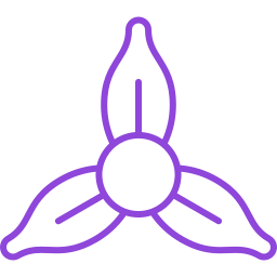 Iris icon