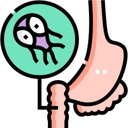 감염성 질병 icon
