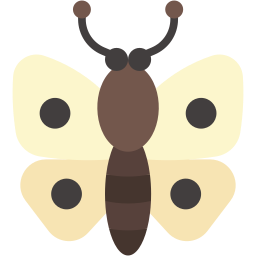 schmetterling icon