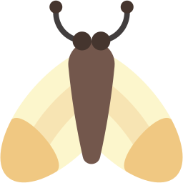 Moth icon