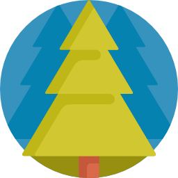 Spruce icon