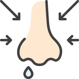 nasal icon