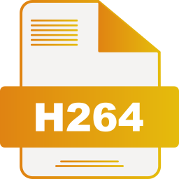 H264 icon