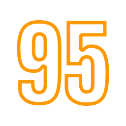 95 Ícone