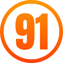 91 icon