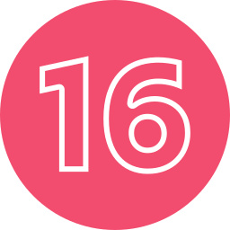 16 icon