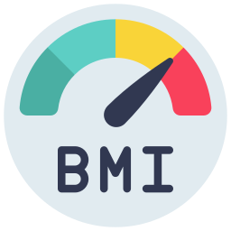 bmi icona