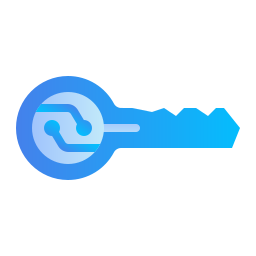 Public key icon