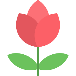 une rose Icône