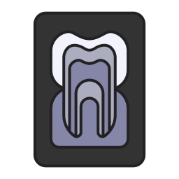 X ray icon