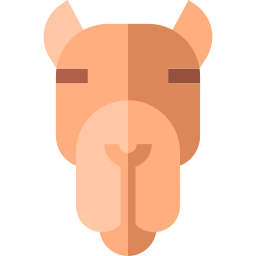 Camel icon