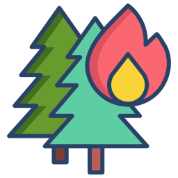 불타는 나무 icon