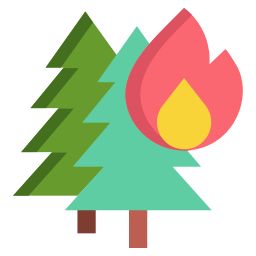 Burning tree icon