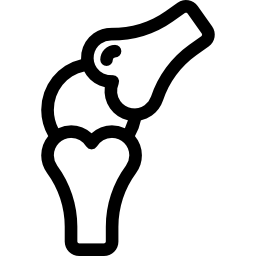 huesos de articulación icono