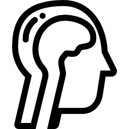 cerebro humano icono