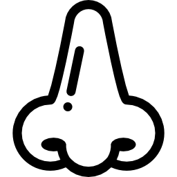 nariz icono