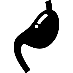 Желудок иконка
