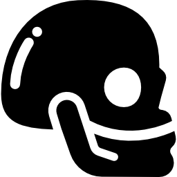 Skull icon