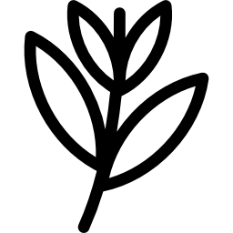 Black Willow icon