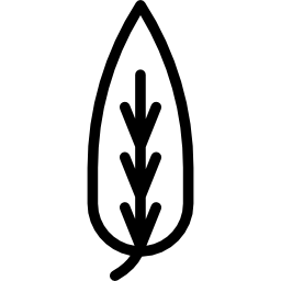 pinnation icon