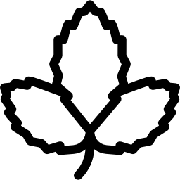 liść truskawki ikona