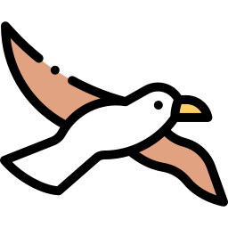 Albatross icon