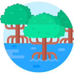 mangrove Icône