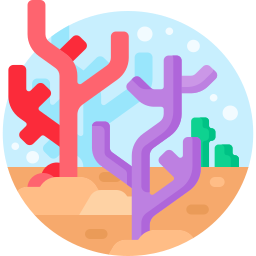 korallenriff icon