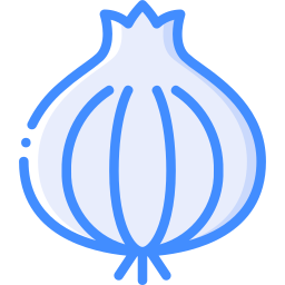 Onion icon