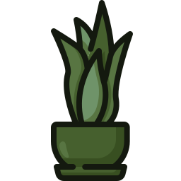 Snake plant icon