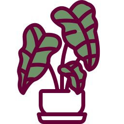 화살촉 식물 icon
