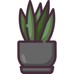 sansevieria icon