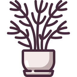 salonpalme icon