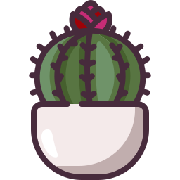 cactus icoon