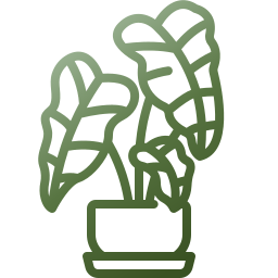화살촉 식물 icon