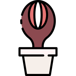 Hydnora africana icon
