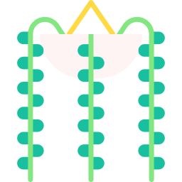 koorden van parels icoon