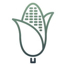 Corn icon