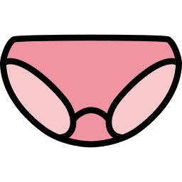 Knickers icon