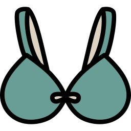 Bra icon