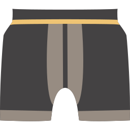 boxer icon